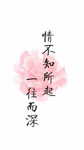 情之所起一往而深意思 情不知所起，一往而深