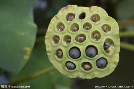 中考数学圆题目巧解 中考数学：巧思、巧解、巧算 桑蕊