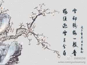 雪却输梅一段香 梅须逊雪三分白,雪却输梅一段香。南宋 卢梅坡《雪梅》