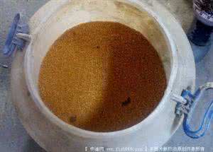 草窝 秘制钓草窝特效窝料与小米配方与方法图