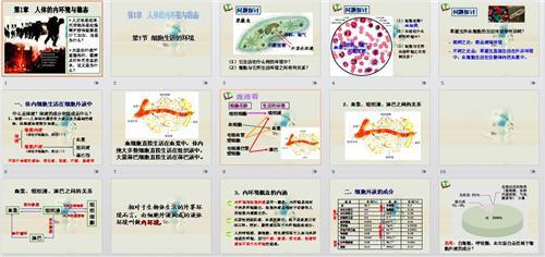 高中生物教学设计案例 高中生物趣味教学案例及分析_高中生物教案