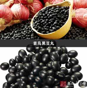 首乌黑豆丸 首乌黑豆丸 首乌黑豆丸