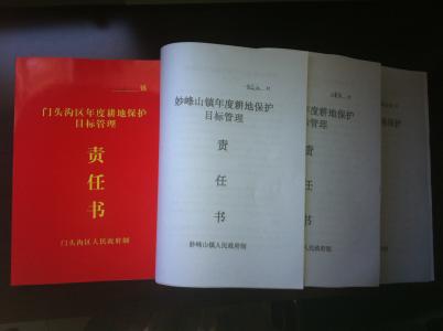 标准化建设目标 标准化建设目标 标准化建设目标管理责任书