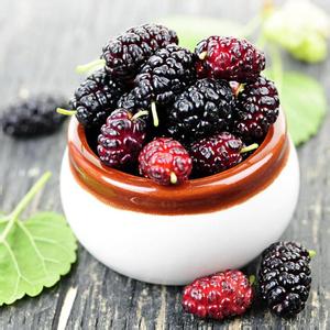 气血不足如何调理食补 气血不足如何调理 补气血就吃6款营养餐