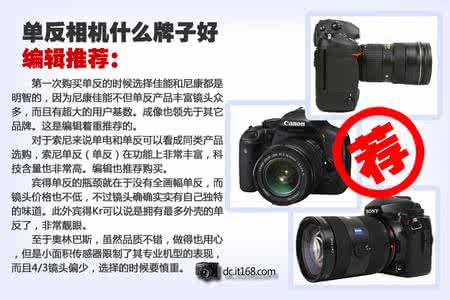 相机品牌哪个好 单反相机推荐,单反相机什么牌子好