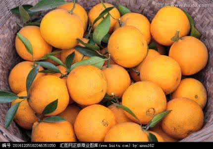 脐橙什么时候成熟 脐橙什么时候最好吃 分娩: 什么时候断脐最好?