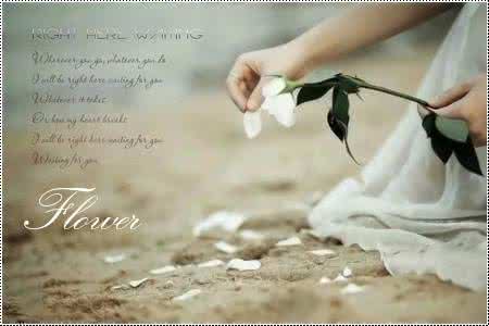 雪小禅  坚守（雪小禅） 