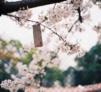 红尘 诗词 十首美诗词，细数红尘中那些放下和放不下的