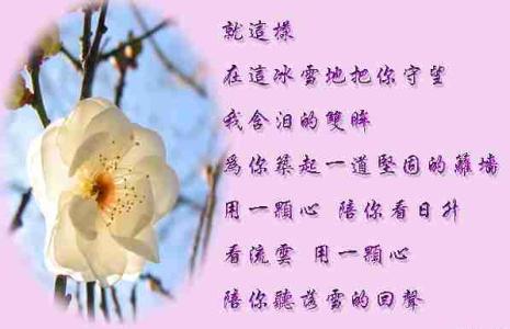 爱情高手 一个爱情高手的经典语录