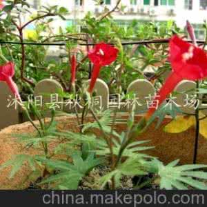 螺旋包带的钩法图解 一种旋穗钩法