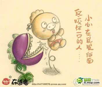 电影里的人生哲理台词 植物大战僵尸里的人生哲理14P