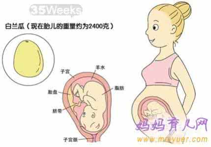 怀孕35周以后注意事项 怀孕35周饮食注意事项