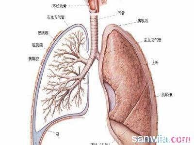 衣原体感染的治疗方法 衣原体感染怎么治疗 治疗的方法有哪些