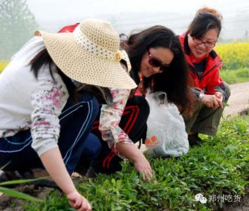 郑州挖野菜 郑州郊区“挖野菜地图”出炉；带上孩子挖野菜去了