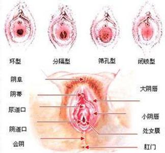 蛇的生理构造 处女膜结构的生理构造是怎样的