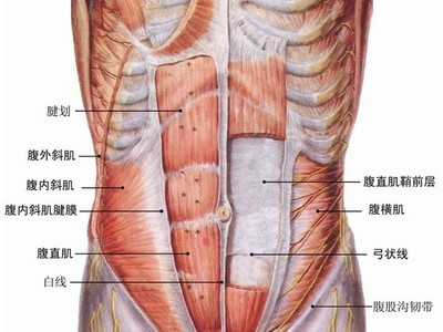 腰肌劳损 椎间盘突出 腰肌劳损、椎间盘突出、锥间管狭窄辨证治疗