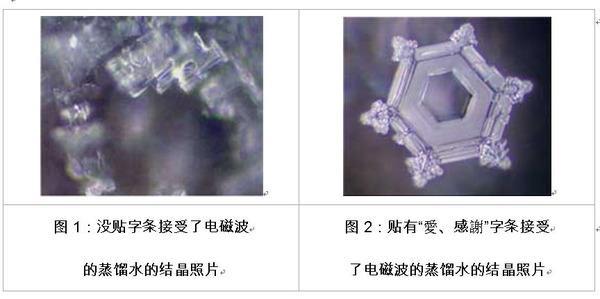 改变人生观的电影 一个可以改变人生观的试验