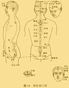 精彩刺绣跟我学 跟我学中医 | 人体之精的分类和代谢