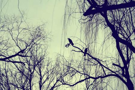 患难识知己字画 患难识知己