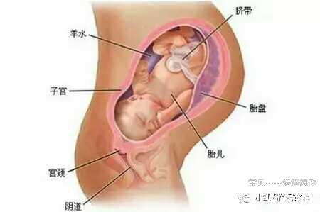 如何让孕妇生宝宝不疼：开骨缝的神奇小秘方今天公开（转载）