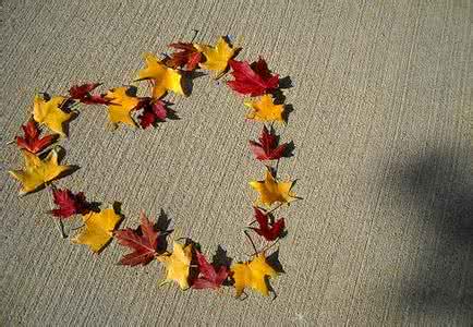 慈善风险 心慈不怕世道险、胆大不怕妖魔扰