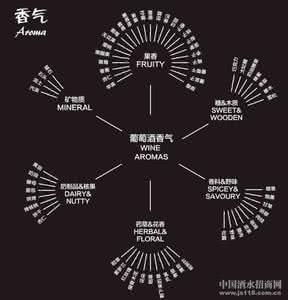 葡萄酒香气 一图张看懂葡萄酒香气欣赏