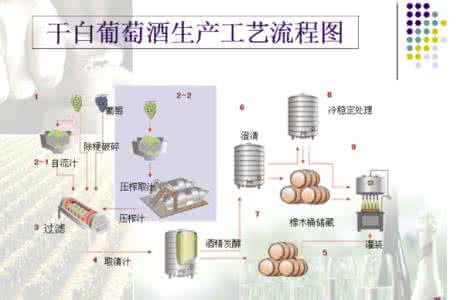 葡萄酒生产过程 一张图揭示葡萄酒生产全过程