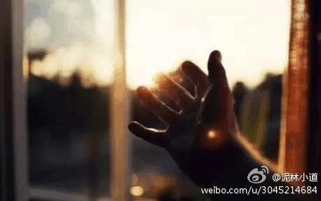 平静的生活 过平静的生活，不要活在悔恨之中