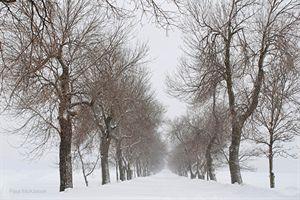 让生命去等候 让生命去等候【美文欣赏】