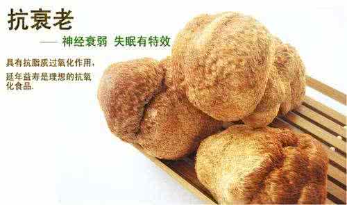 猴头菇什么人不能吃 猴头菇的功效与作用