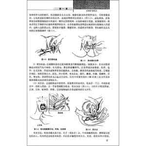 基础护理学试题选择题 妇科护理学选择题 妇科护理试题