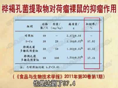 20160406饮食养生汇视频和笔记:张文彭,桦褐孔菌,翡翠鲜虾球