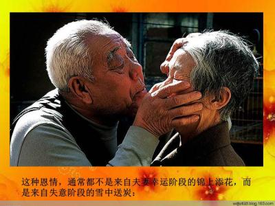 乔安娜的一生图文攻略 【经典图文】一生中最后的存折是老伴