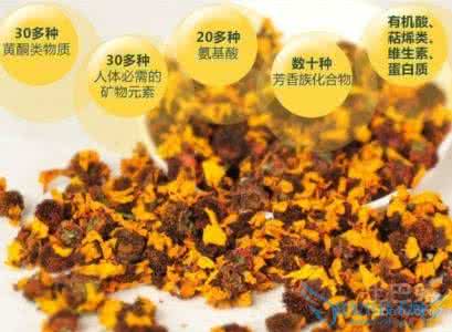 昆仑雪菊的饮用方法 昆仑雪菊的饮用方法 昆仑雪菊的功效如何 应如何饮用