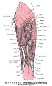 股骨干骨折髓内钉手术 闭合复位和切开复位交锁髓内钉内固定对股骨干骨折患者膝关节功能的影响