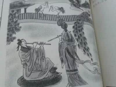 纺织娘是什么昆虫 纺织娘是什么 阅读下面一首宋词,然后1~2题。倦夜苏轼倦枕厌长夜,