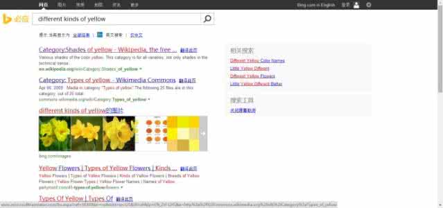 网页测试工具 网页翻译工具可信度测试