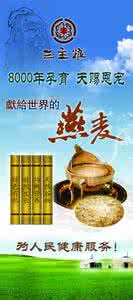 燕麦米的功效与作用 燕麦米的功效与作用 效果竟如此神奇