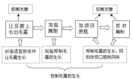 腐乳的制作原理 腐乳的制作原理是什么？