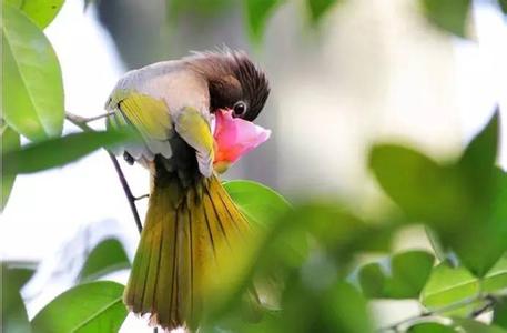 走遍中国之寻找奇石 【玩转五一系列】走遍中国 寻找舌尖上的城市符号