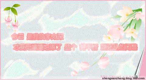 一网情深 电视剧 一网情深的心韵