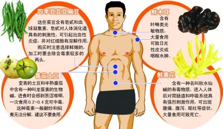 四季豆和豆浆属于 柳州食药监查学校食堂 严禁加工四季豆和豆浆