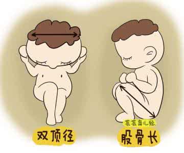 胎儿性别预测 胎儿性别预测 孕妈外观上预测胎儿性别