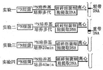 奥数鸡兔同笼解法思路 【原】简单试题的不同解法思路