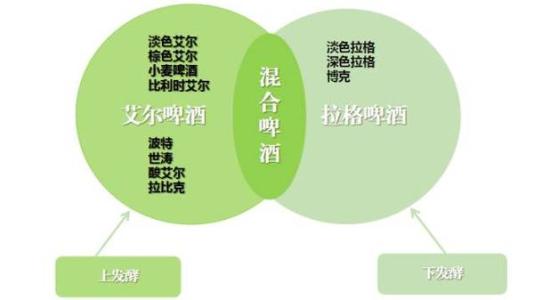 啤酒分类大全 啤酒的分类