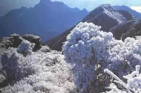 中国看雪最美的地方 三季如春、冬如玉,这里才是中国看雪最美的地方!