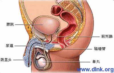 前列腺清洗 怎样清洗前列腺?