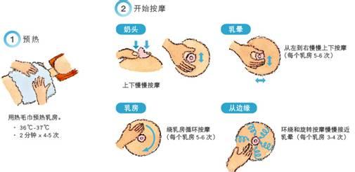 如何按摩乳房下奶 乳房按摩对下奶有帮助吗