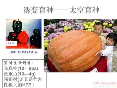 诱变育种的例子 诱变育种