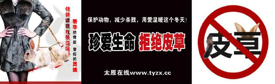 海豹油 被拒绝才能成长 拒绝海豹油 才能拒绝屠杀